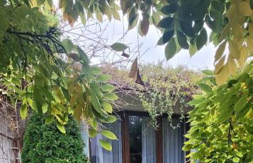 Apartament Szpilka - domek - Foto 20