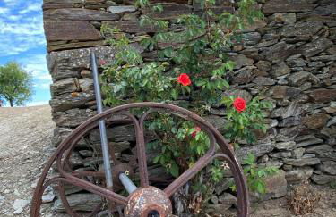 Andar Moradia T4 na Casa do Olival - Foto 31