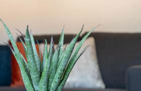 Mercer Apartment - Foto 11