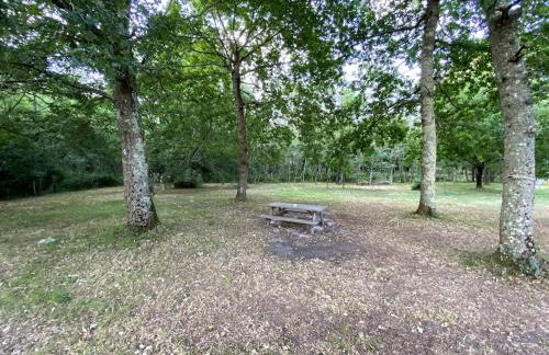 Chalet en bois sur grand parc arboré tout proche de l océan - Foto 17