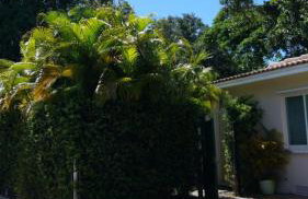 LUXURY Guayabita's House - Photo 1