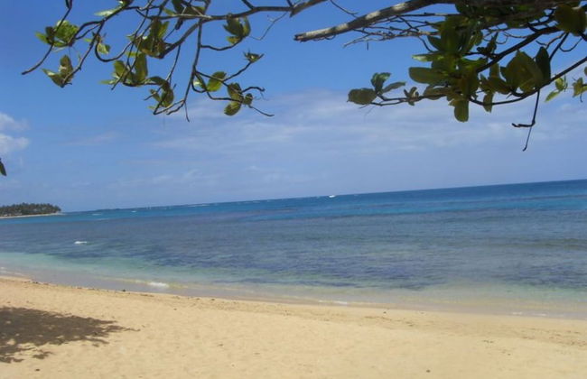 Charming Caribbean Style Villa Near Superb Beach - Photo 20