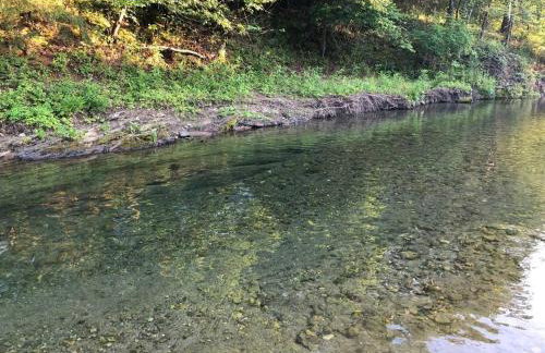 Liberty Cabin on Collier Creek - Foto 7