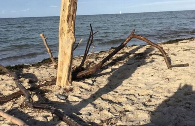 WE Evening sun in the sun House - Foto 24