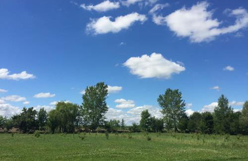 Pet-Friendly Nature Escape - Foto 32