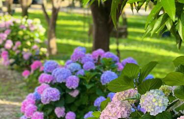 Quinta da Salada - Turismo Rural - Foto 4