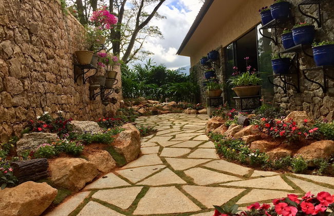 Elakai Munnar - Foto 9