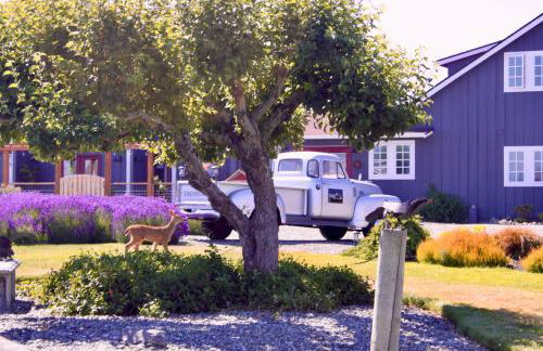 Dungeness Barn House Bed and Breakfast at Two Crows Farm - Foto 42