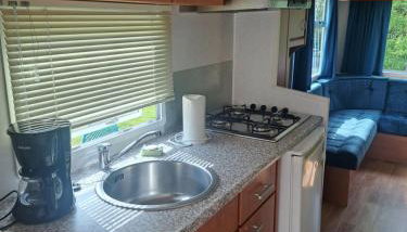 Ulinia Wilcza 4 niebieski - Foto 5