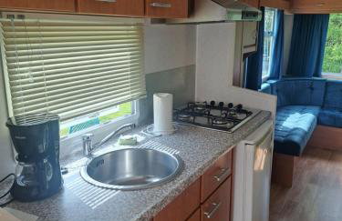 Ulinia Wilcza 4 niebieski - Photo 5