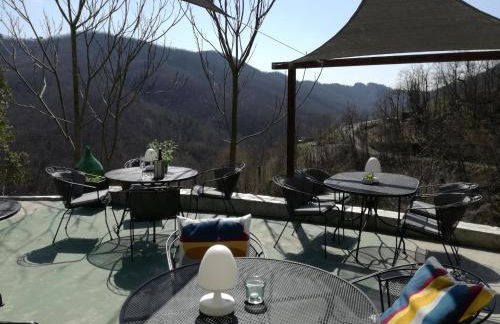 Fraseneggi - Foto 46