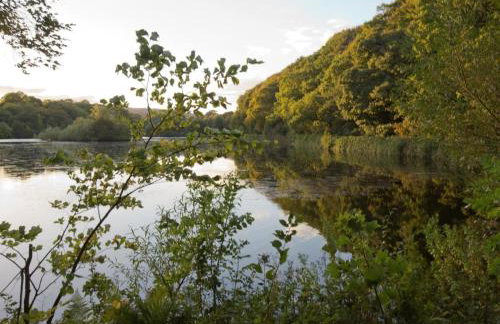 1 Bed in Pateley Bridge oc-g0050 - Photo 34