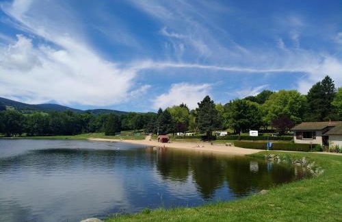 27 CHIC & COSY NOIRETABLE F2 55m2 WIFI SMART TV NETFLIX - Foto 2