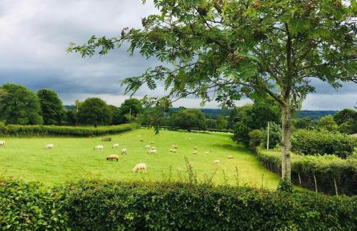 1 Bed in Okehampton oc-78087 - Foto 11