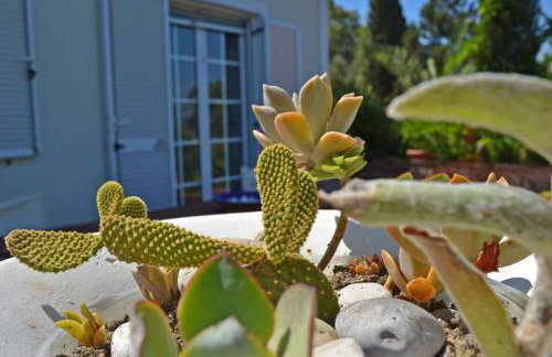 Elegant Villa Zakynthos - Foto 44