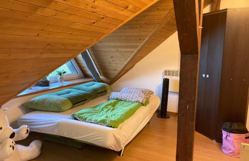 Poddasze Pierwoszyno - Foto 12