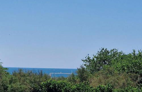 Spacieux et élégant T3 en bord de mer - Foto 10