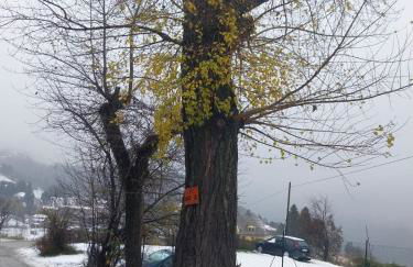 La Corte dei Celti La fonte - Foto 32