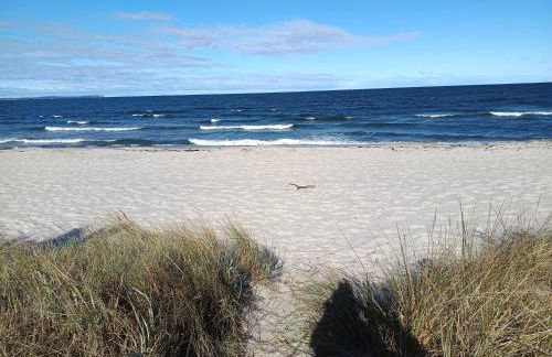 Ferienwohnung BoddenBee - Foto 22