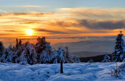 Miętówka - Foto 22