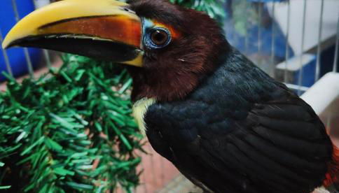 Agriturismo Villa Paradiso Esotico - Photo 3