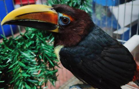 Agriturismo Villa Paradiso Esotico - Photo 3