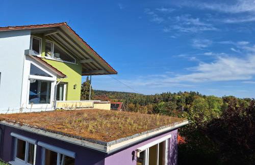 Ausblick Maisenbach - Foto 2