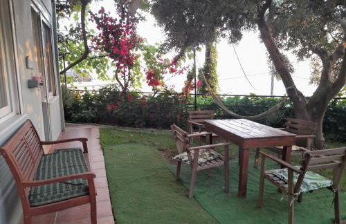 LEMONELIA, one big,4-5 people and one small apartment ,2-3 people - Foto 15