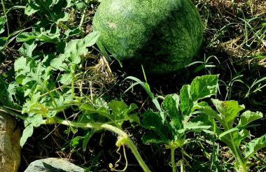 Con vistas Oria - Foto 40