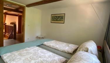 Kap der guten Hopfung - Foto 4