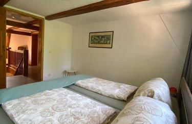 Kap der guten Hopfung - Foto 4