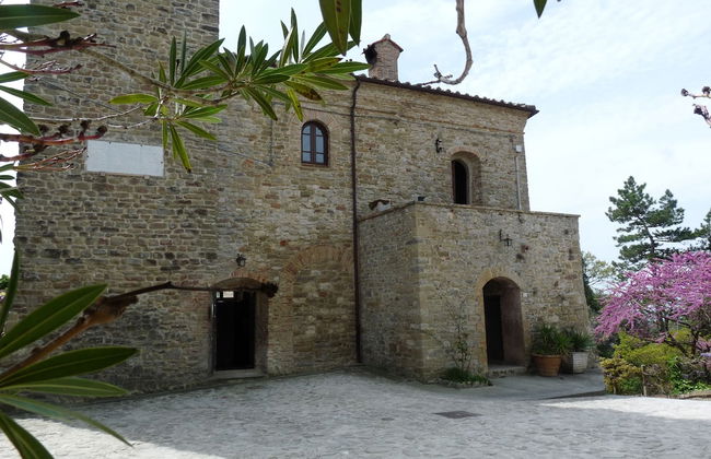 Castello di Giomici - Photo 69