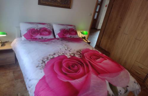 Casa Bozzero - Photo 5