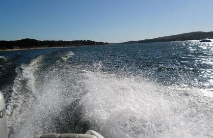 Monte da Tojeirinha - Foto 51