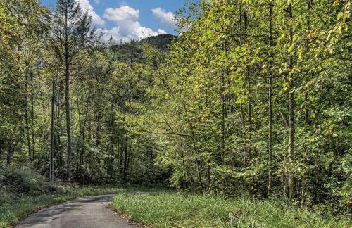 Spacious Mountain Retreat with Bonus Game Room Near Asheville, Barnardsville, NC - Foto 26