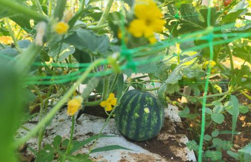 Villa Ella - Foto 36