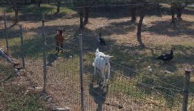 la casa di simone - Foto 3