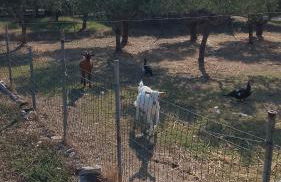 la casa di simone - Foto 3