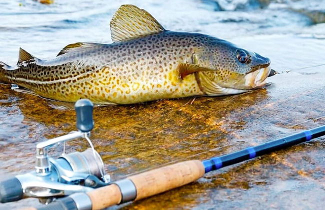 6 Person Holiday Home in Hartbakke - Foto 40