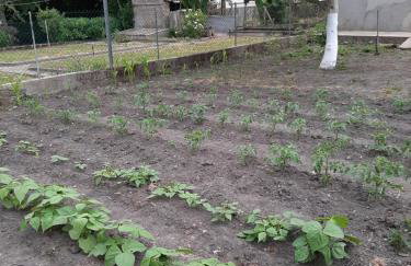 La petite escale - Foto 4