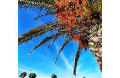 Coração da Vila - Foto 16