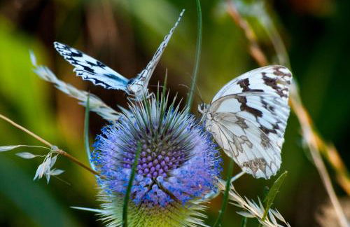 La Casa de Su - Foto 36