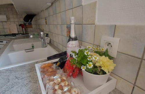 Gîte typique alsacien maison vigneronne 18e siècle - Foto 22