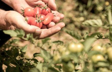 Aloni Villa, an Authentic Countryside Retreat, By ThinkVilla - Foto 10