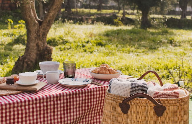 Chão do Ribeirinho, Castelo Branco - Photo 1