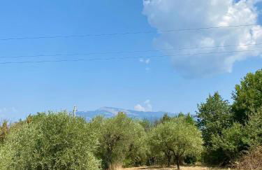 Relais Vittoria - Foto 19