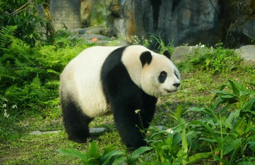 Near All Things SD - Canyonview - Jacuzzi - EV Charge - Foto 76