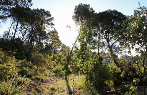 Gites de la Villa Pergola - Foto 70