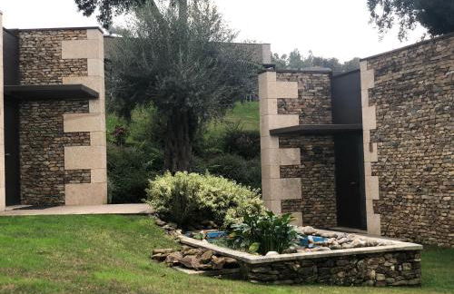 Bosque da Harmonia - Foto 49