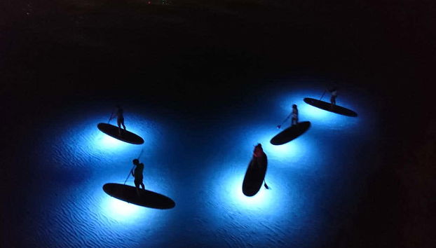 Night Paddle Surf Tour in Jávea - Foto 4